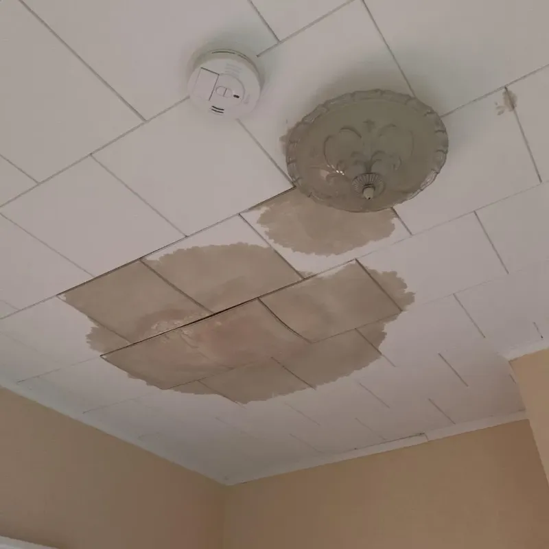 Ceiling Water Damage Repair in Oakland Park, FL